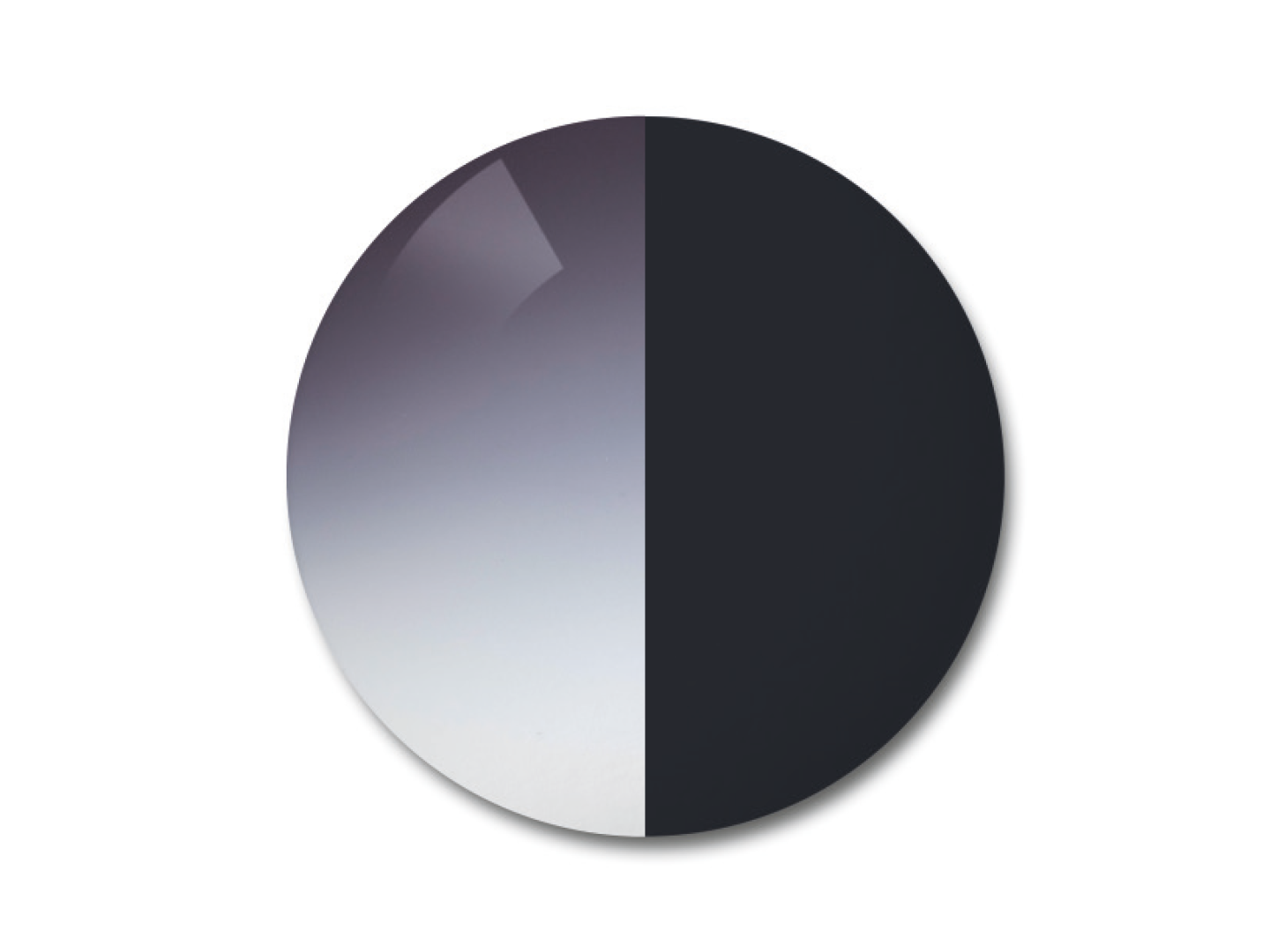 ZEISS AdaptiveSun gradient grå i ljust tonat gradalt och mörkt tonat solitt tillstånd.