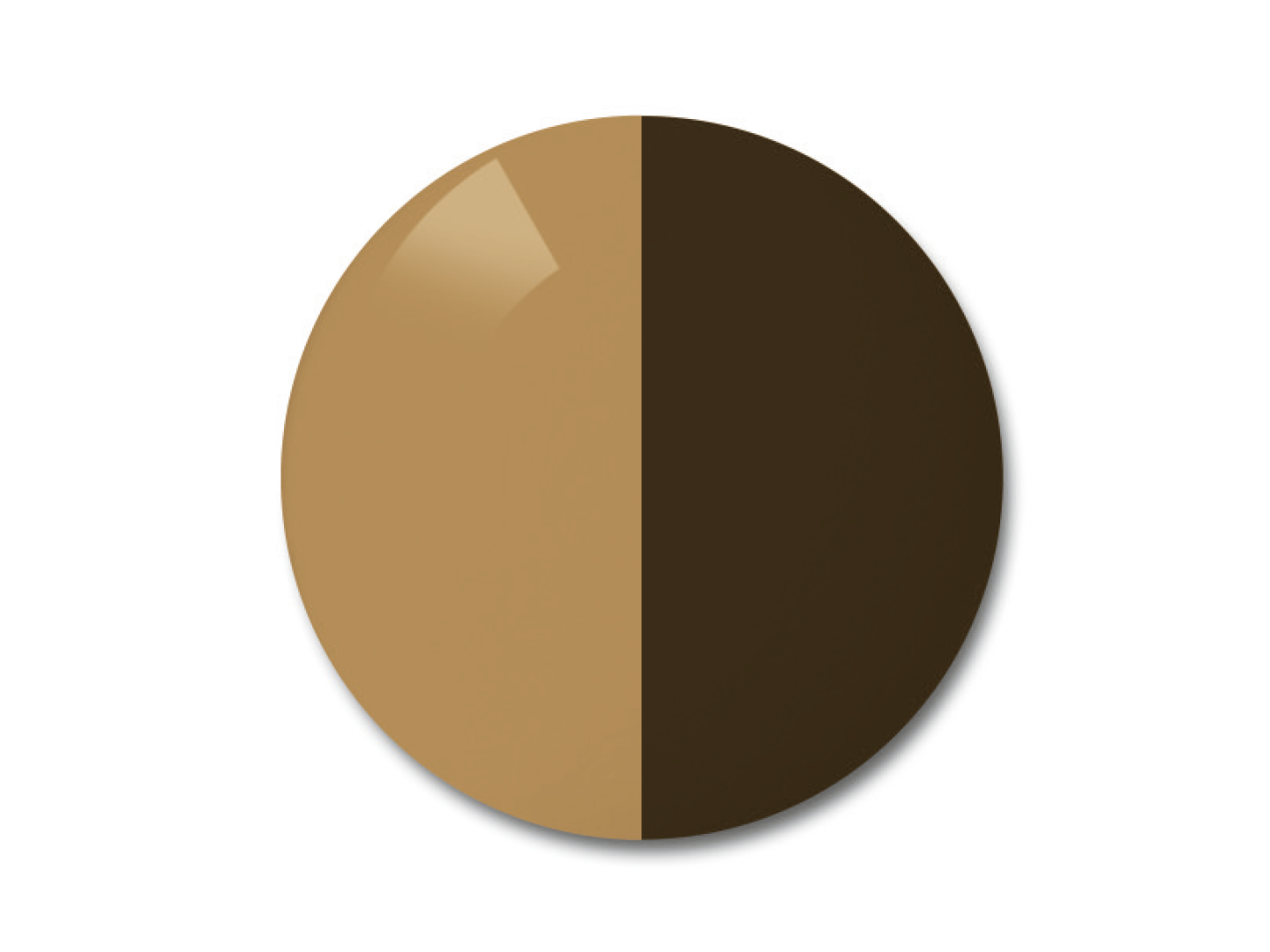 ZEISS AdaptiveSun Solid Brown i ljust tonat och mörkt tonat tillstånd.
