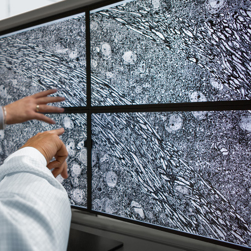 En bild på fyra skärmar som visar bilder tagna med mikroskopet ZEISS MultiSEM. 