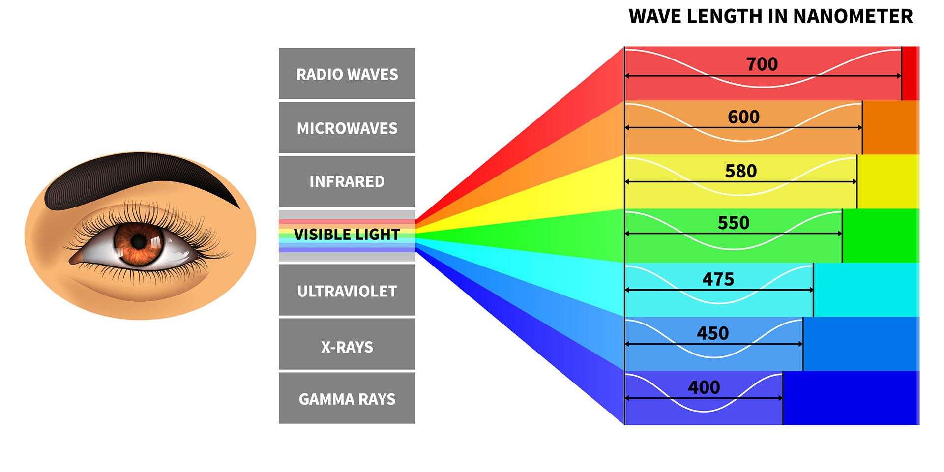 Synligt ljusspektrum med färgernas våglängder som ses av det mänskliga ögat.